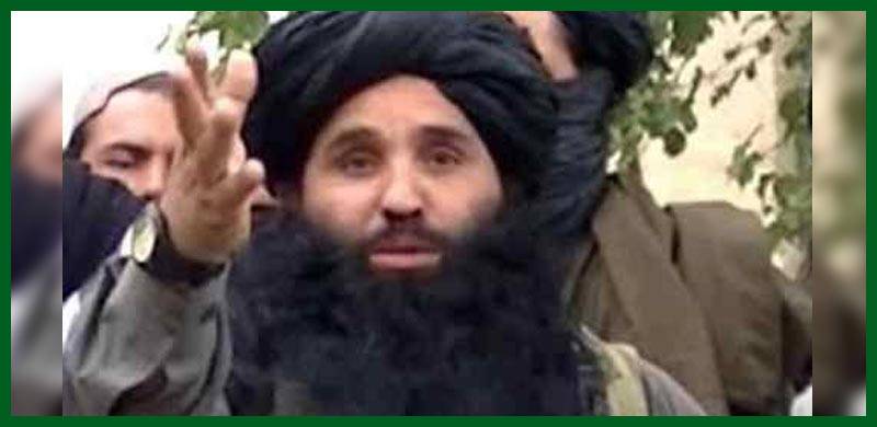 شہریار محسود کی ہلاکت کے بعد تحریک طالبان پاکستان نے نیا چیف مقرر کر دیا