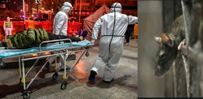 کرونا چھوڑیئے،چین میں ایک اور ہانتا نامی مہلک وائرس نمودار، ایک شخص جاں بحق
