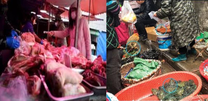 چین:کرونا وائرس کے پھیلاؤ کا مبینہ سبب بننے والی مارکیٹ میں چمگادڑوں کی فروخت دوبارہ شروع
