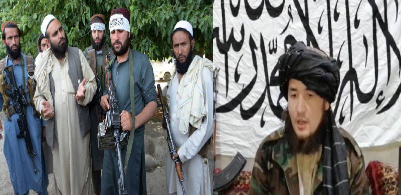 طالبان قیادت کی صفوں میں شیعہ کمانڈر 'مہدی مجاہد' کا ظہور: طالبان کے کٹر سنی نظریات تبدیلی کی زد میں؟