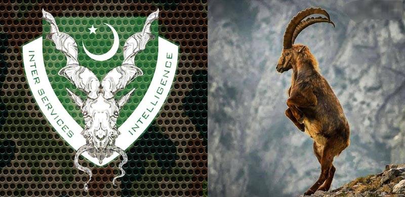 پاکستانی خفیہ ایجنسی آئی ایس آئی کا مارخور والا لوگو کس نے ڈیزائن کیا؟