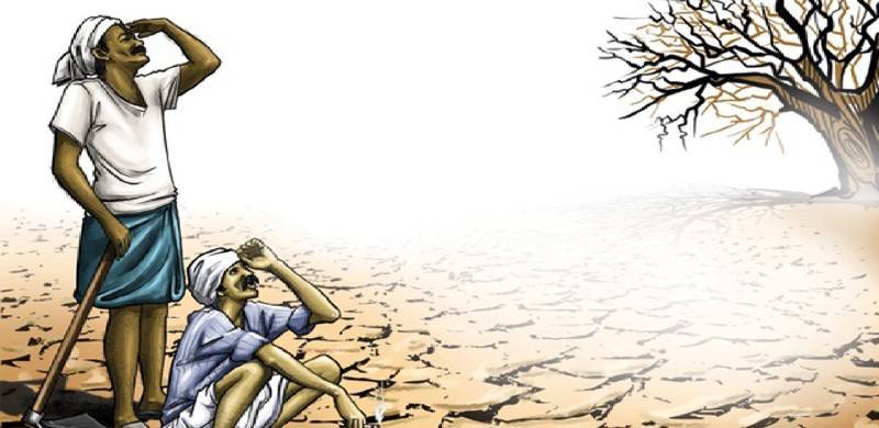 شکیل پٹھان: سندھی کسانوں کے لیئے امید کا نشان