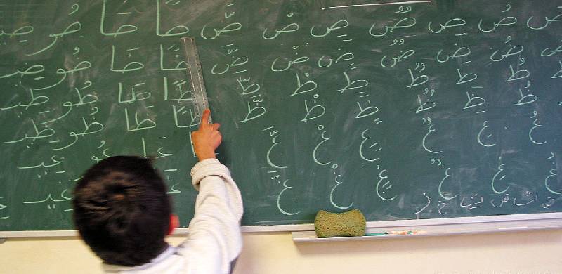 عربی زبان کی لازمی تعلیم سے دین و دنیا میں بہتری آئے گی: سینیٹ کی قائمہ کمیٹی میں عربی کی لازمی تعلیم کا بل منظور