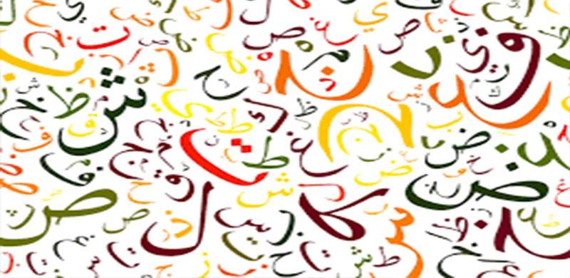 کیا اردو کم علم لوگوں کی زبان ہے؟