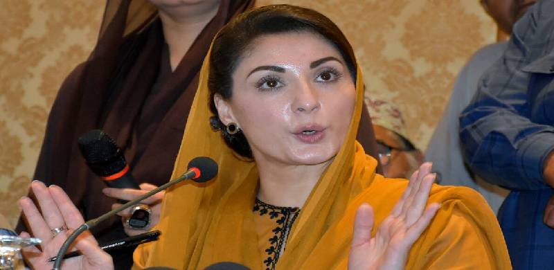کھمبے نوچتی کھسیانی بلیاں اب ٹیکنالوجی کا واویلا کر رہی ہیں: مریم نواز