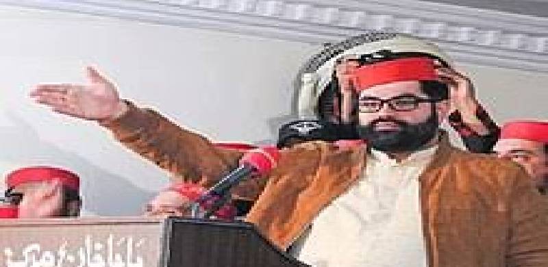 تحریک انصاف اور مسلم لیگ ن سے پختونوں کے بقا کی توقع نہیں کی جاسکتی: ایمل ولی خان