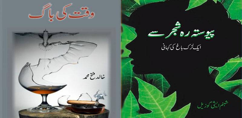 اردو فکشن کے دو بہترین ناول