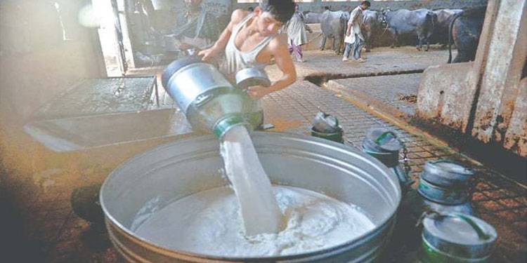 دودھ کی فی لیٹر قیمت میں 40 سے 45 روپے اضافے کا امکان