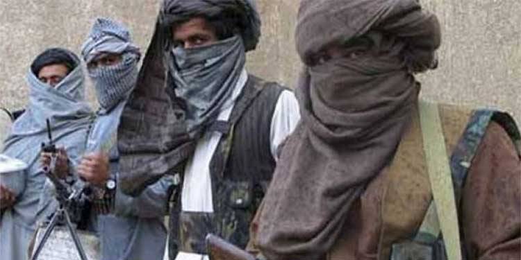 پاکستان میں سرحد پار سے مبینہ دہشتگردی، کیا افغانستان میں طالبان فارمولا موثر ثابت نہیں ہو رہا ہے؟