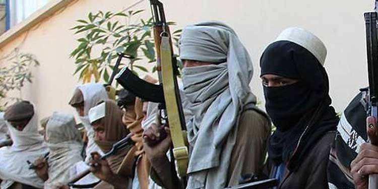تحریک طالبان پاکستان کے 2 اہم کمانڈرز مذاکراتی ٹیم کے حوالے