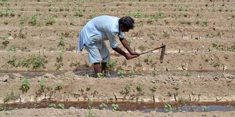 سندھ میں زرعی پانی کی قلت شدت اختیار کرگئی، خریف کی فصلیں متاثر ہونے کا خدشہ