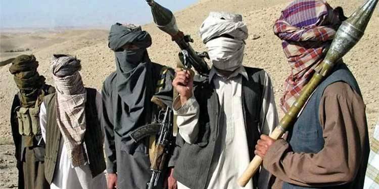 تحریک طالبان پاکستان فاٹا انضمام واپس کرنے پر بضد کیوں ہے؟