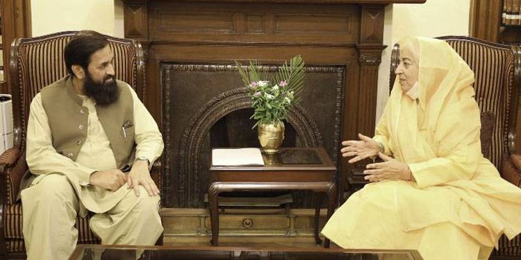 گورنر پنجاب محمد بلیغ الرحمان سے ذکیہ شاہنواز سمیت، ممبران قومی و صوبائی اسمبلی کی ملاقاتیں