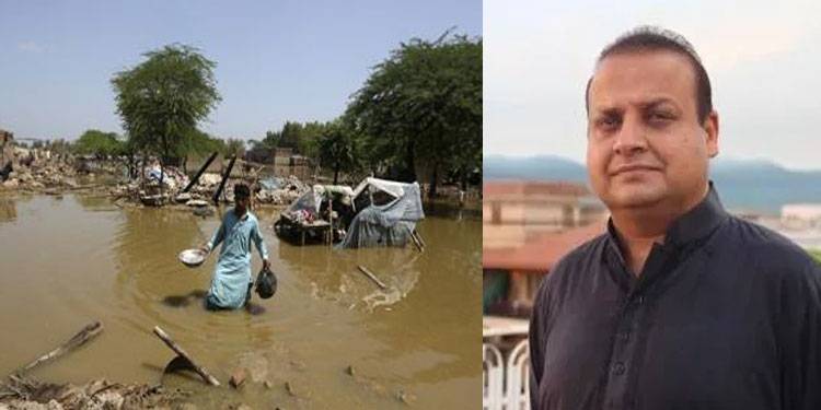 سیلاب کے دوران جلسے جلوس کرنا متاثرین کے زخموں پر نمک چھڑکنا ہے: عمار مسعود
