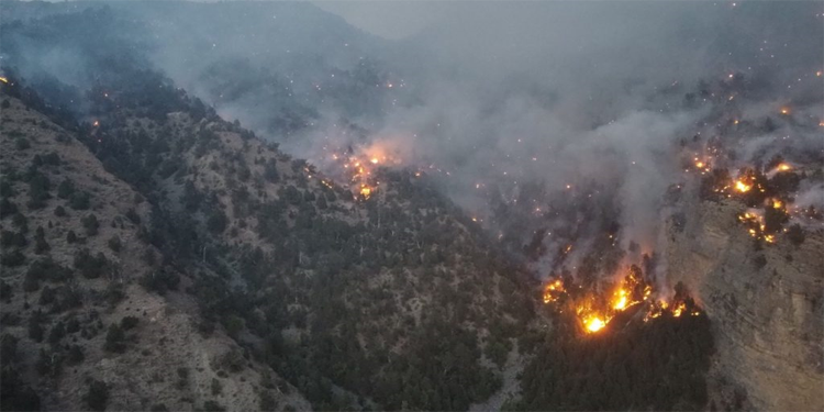 پاکستان کے پہاڑوں میں لگنے والی ‘بھیانک’ آگ کے طویل مدتی اثرات