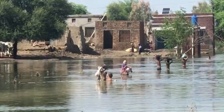کیا جنوبی پنجاب کے سیلاب زدہ علاقوں کی بحالی کا بہترین حل انتخابات ہیں؟