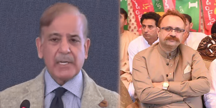 آزاد کشمیر میں وزیر اعظم پاکستان شہباز شریف کا پُتلہ کیوں جلایا گیا؟