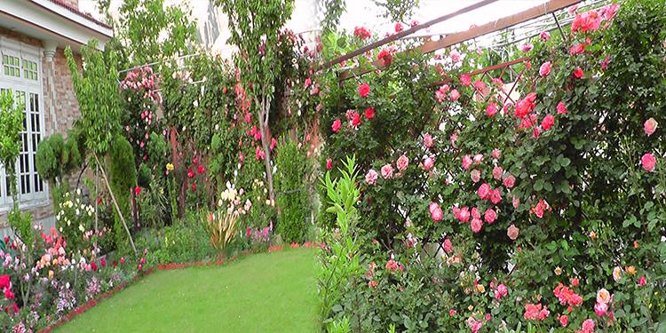 وادی آیون کے اعظم ہاؤس کا خوبصورت پھولوں سے بھرا باغیچہ سیاحوں کی توجہ کا مرکز