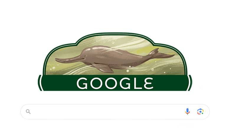 پاکستان کے 76ویں یومِ آزادی پر گوگل نے اپنا ڈوڈل تبدیل کردیا