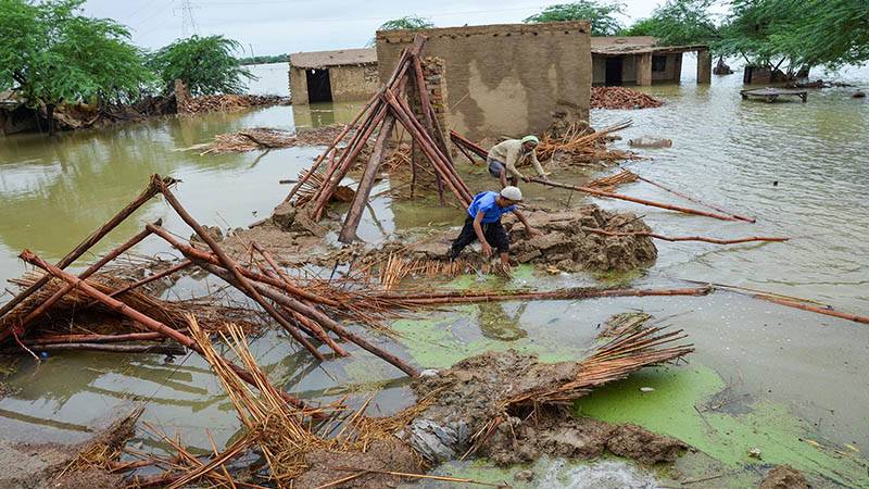 بار بار آنے والے سیلابوں کی وجہ سے پاکستان موسمیاتی تبدیلی کے تقاضوں کے مطابق رہائشی تعمیر پر غور کرنے پر مجبور ہے