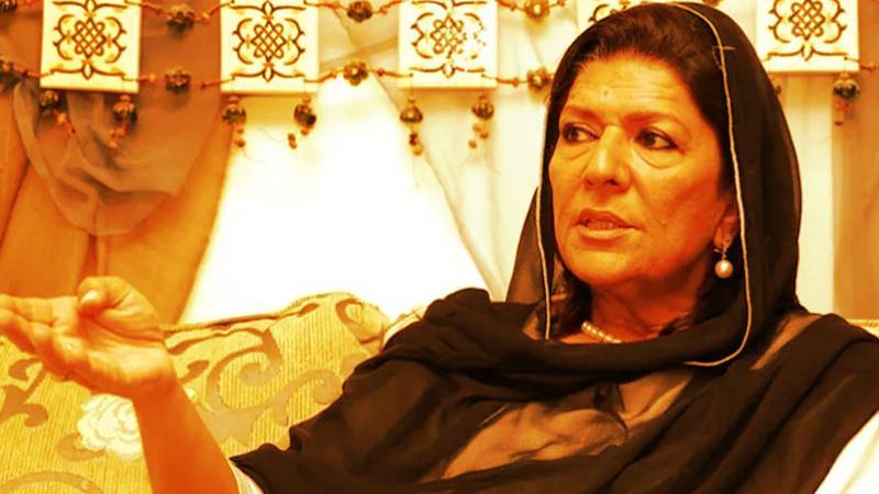 'انتخابات 2024 کو متنازعہ بنانے کے لیے علیمہ خان پروپیگنڈا کر رہی ہیں'