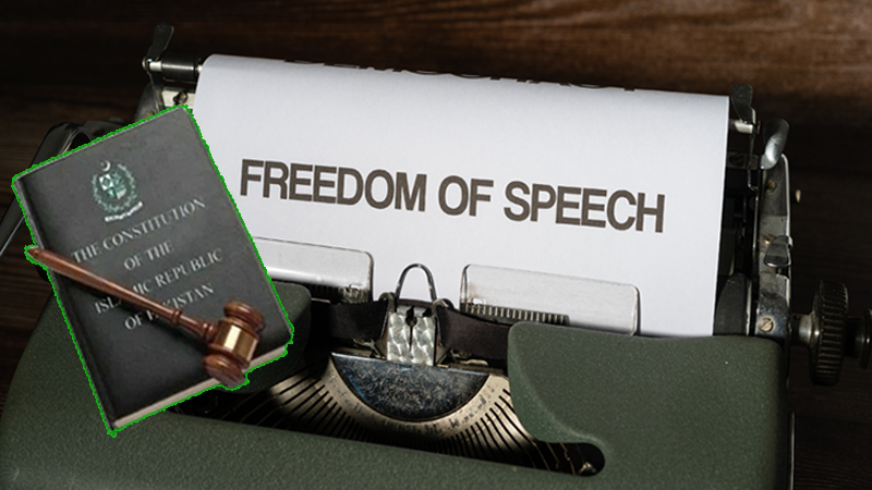 پارلیمان آزادی اظہار سے متعلق آئین کے آرٹیکل 19 کی تشریح کرے