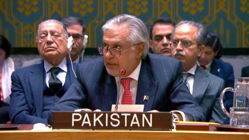 پاکستان فلسطین کے ساتھ ہے اور عرب لیگ کے فیصلے کی حمایت کرتا ہے:او آئی سی اجلاس میں اسحاق ڈارکا خطاب