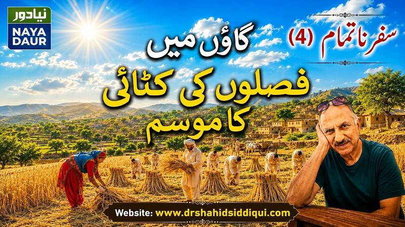 سفرِ ناتمام (4): گائوں میں فصلوں کی کٹائی کا موسم